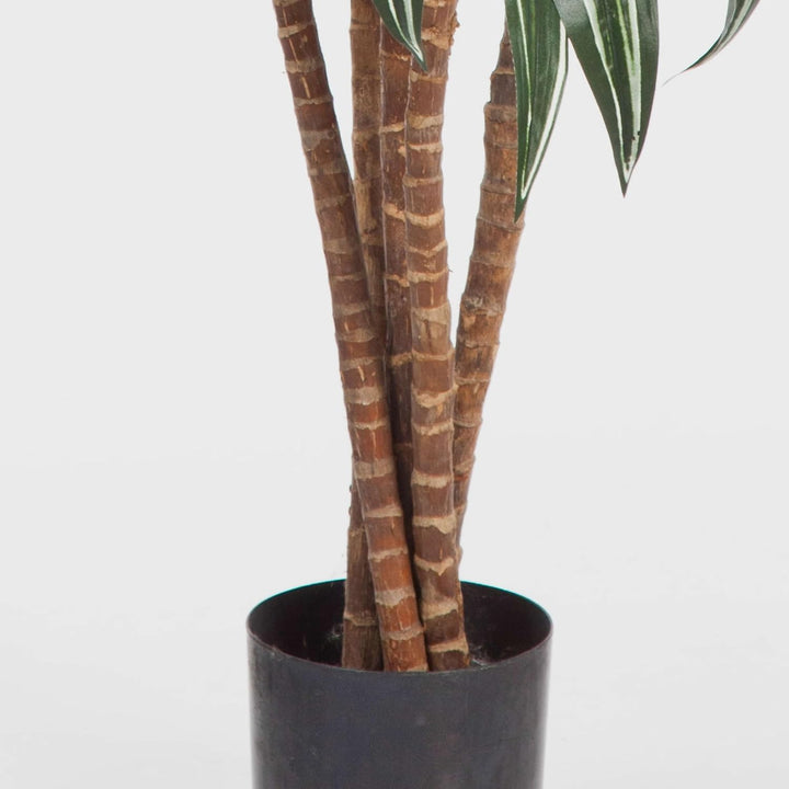 artplants.de Deko Dracaena, 6 stämmig, weiss - grün, 150cm - naturgetreue Kunstpalme - Dracaena küns