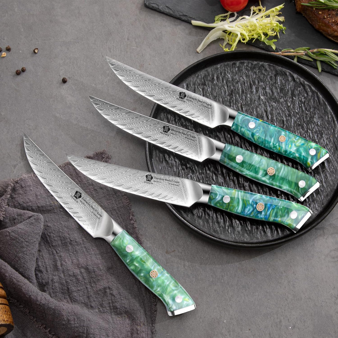 WILDMOK Steakmesser, 13cm nicht gezahnt, Steakmesser-Set mit 4 Stück, Steakmesser aus japanischem Da