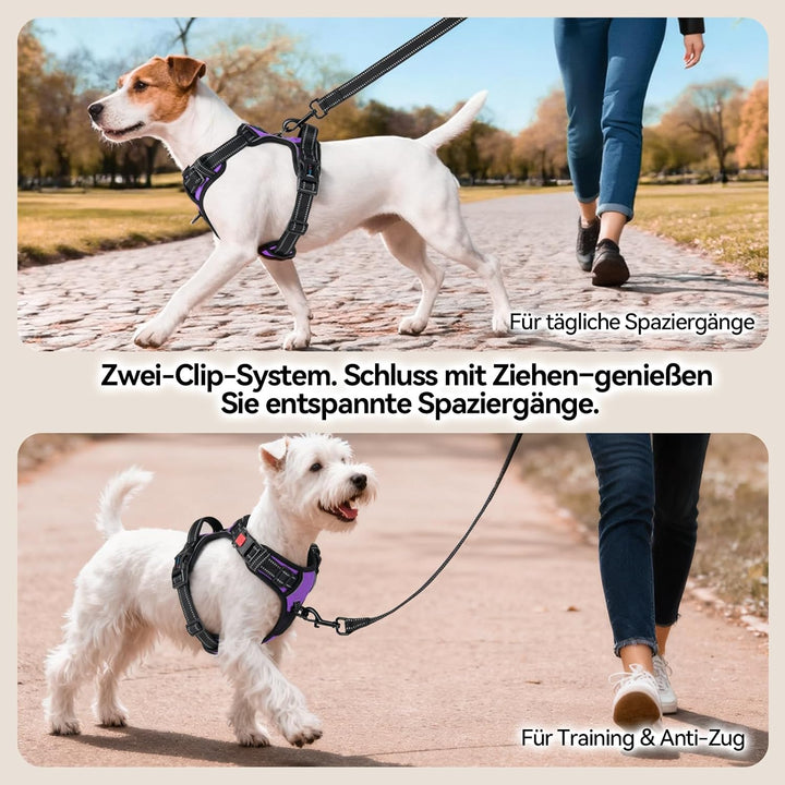 PHOEPET Hundegeschirr Grosse Hunde, Anti Zug, Einfach Anzulegen,Lila,XL | No Pull,Verstellbar, mit G