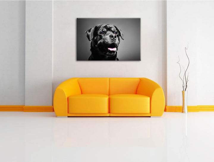 aufmerksamer Rottweiler schwarz/weiss Format: 100x70 auf Leinwand, XXL riesige Bilder fertig gerahmt