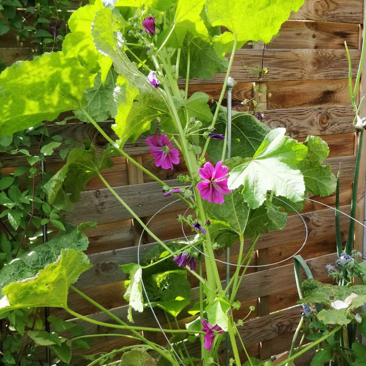 Pflanzenstab Rankhilfe Pflanzen stütze Rankstäbe Pflanzenstäbe Pflanzenstütze Gartenstab Rankstab -