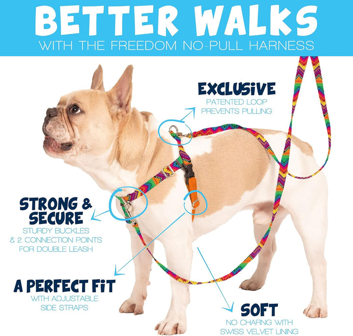 2 Hounds Design Freedom Hundegeschirr und Trainingsleine gegen Ziehen, doppelte Leinenschlaufen, gef