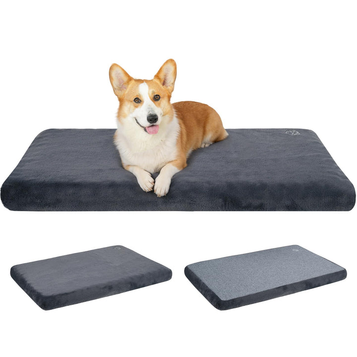EMPSIGN Hundebett Mittelgrosse Hunde Hundekissen Waschbar, Hundebett Wasserdicht M 74x46x5.8cm, Hund