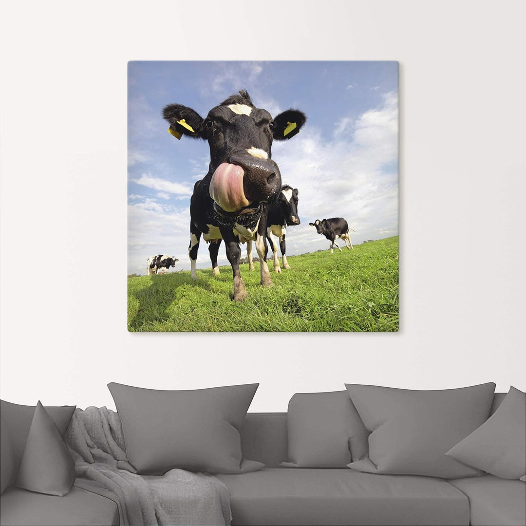 ARTland Leinwandbilder Wandbild Bild auf Leinwand 70x70 cm Kuh Tiere Zunge Lustig Süss Landhaus Baue