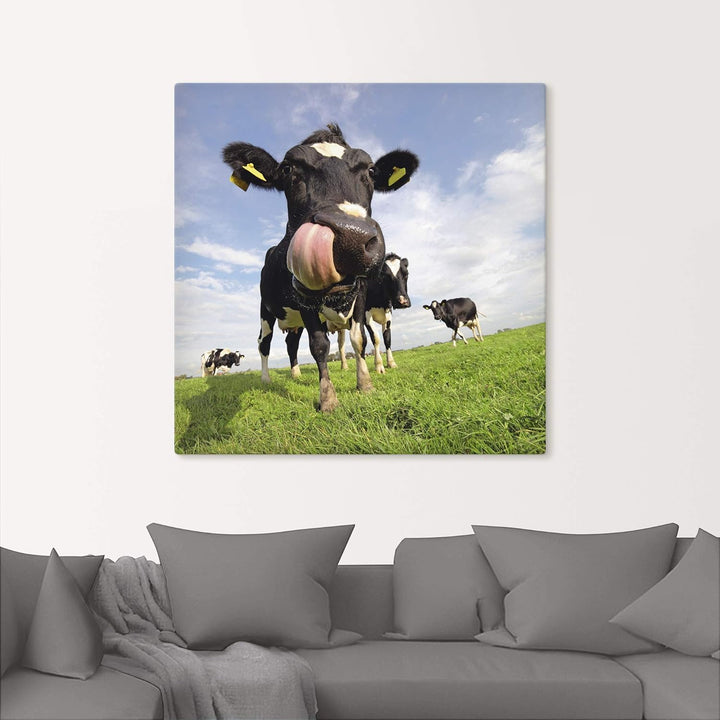 ARTland Leinwandbilder Wandbild Bild auf Leinwand 70x70 cm Kuh Tiere Zunge Lustig Süss Landhaus Baue
