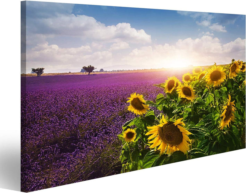 Bild auf Leinwand Lavendel Und Sonnenblumen Felder Provence Wandbild Poster Kunstdruck Bilder Format