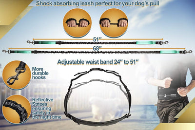 Joggingleine für Hunde zum Laufen, Joggen, Wandern | 2 in 1 Joggingleine und Normale Hundeleine für