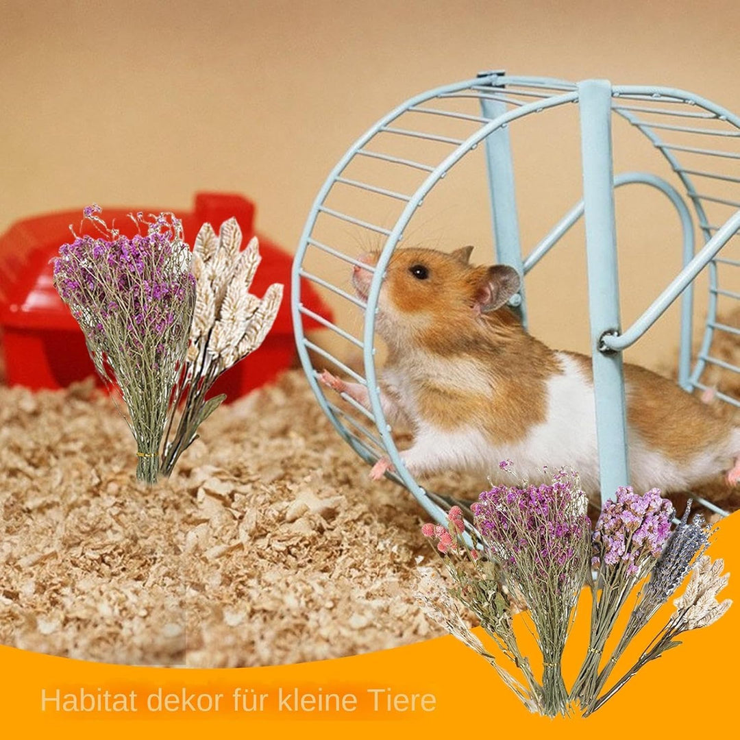 Hamster-Heublumen-Einstreu, Bettwäsche für Blumen Hamster, Hamster-Blumen Bettwäsche, Hamster-Heublu