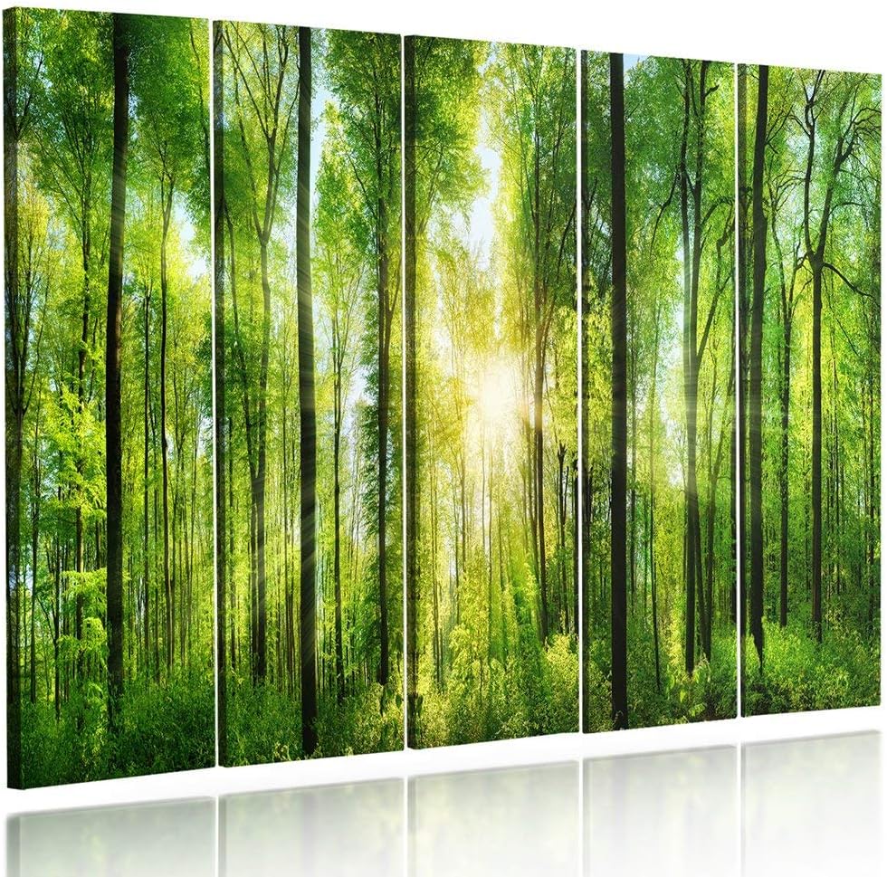 Feeby Frames, Leinwandbild Bilder Wand Bild - 5 Teile - Wandbilder Kunstdruck 100x70 cm, Typ C C typ