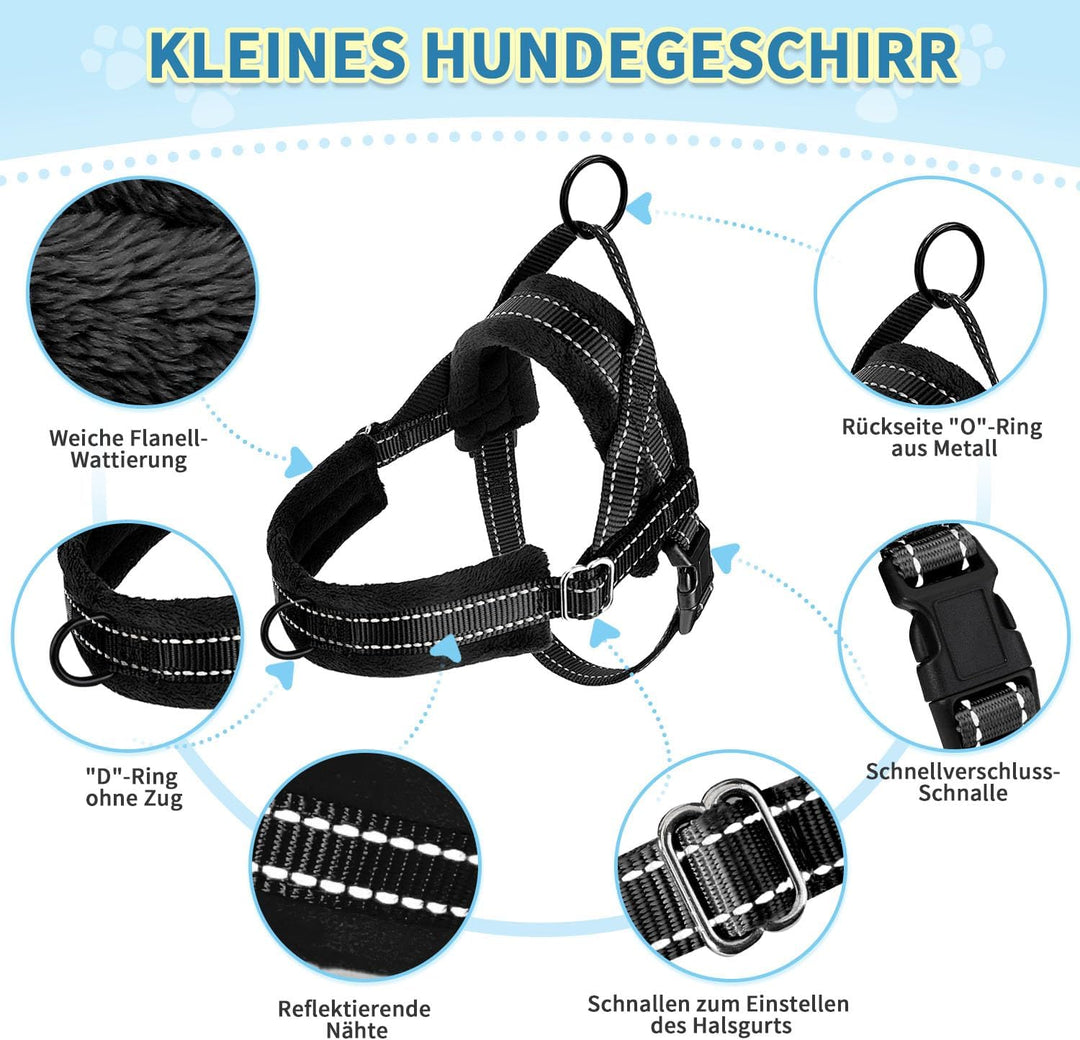 Hundegeschirr mit Leine für mittelgrosse Kleine Hunde, Weich gepolsterter No-Pull Brustgeschirr mit