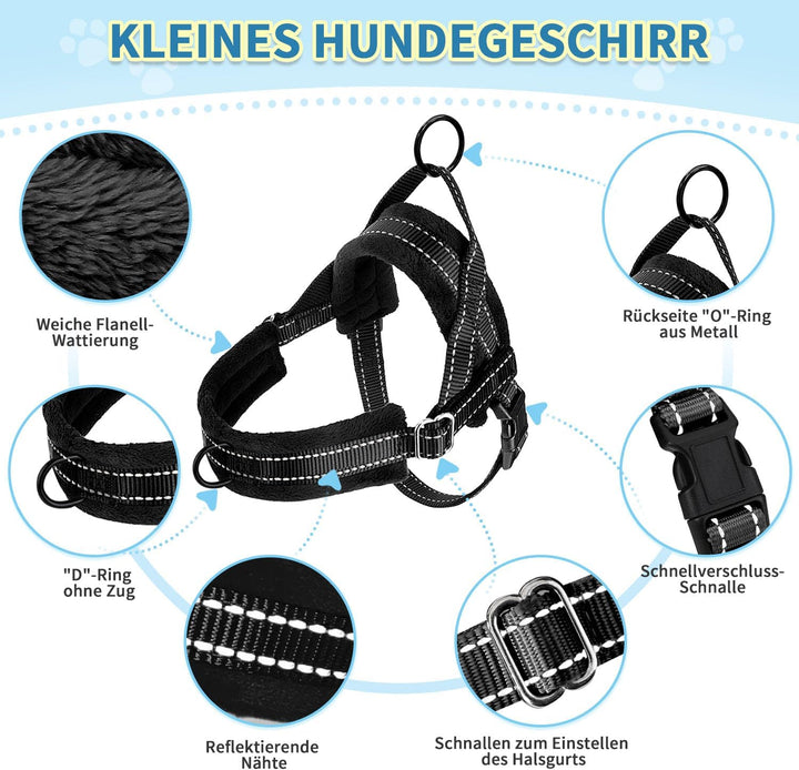 Hundegeschirr mit Leine für mittelgrosse Kleine Hunde, Weich gepolsterter No-Pull Brustgeschirr mit