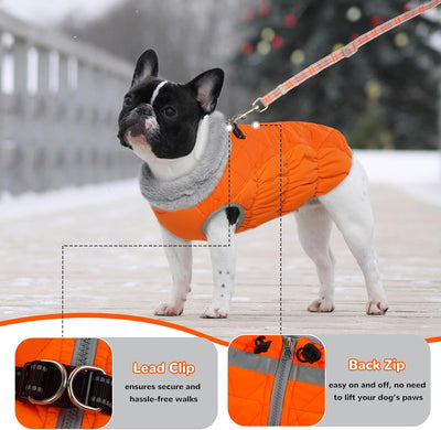 Hjumarayan Hundemantel für Kleine Mittelgrosse Grosse Hunde, Hundejacke Warme Hundeweste Wintermante