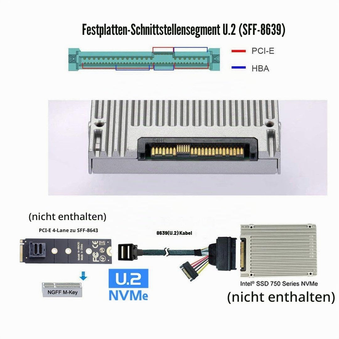 chenyang CY Mini SAS HD SFF-8643 zu U.2 U2 SFF-8639 NVME PCIe SSD-Kabel für Mainboard SSD 750 P3600