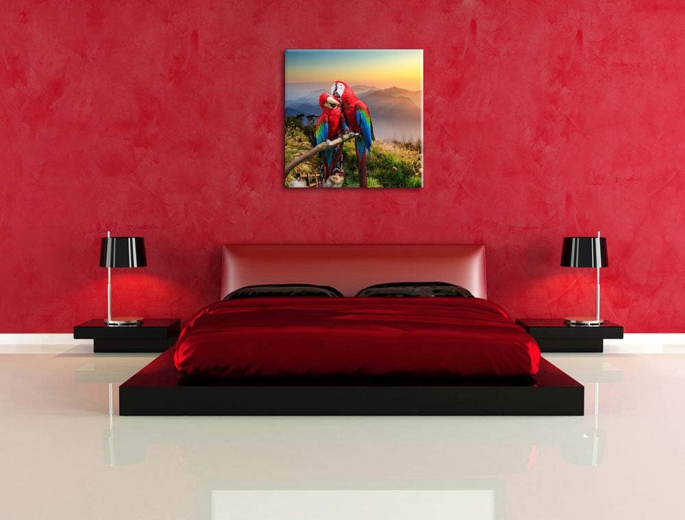 Papageien Pärchen, Format: 70x70 auf Leinwand, XXL riesige Bilder fertig gerahmt mit Keilrahmen, Kun
