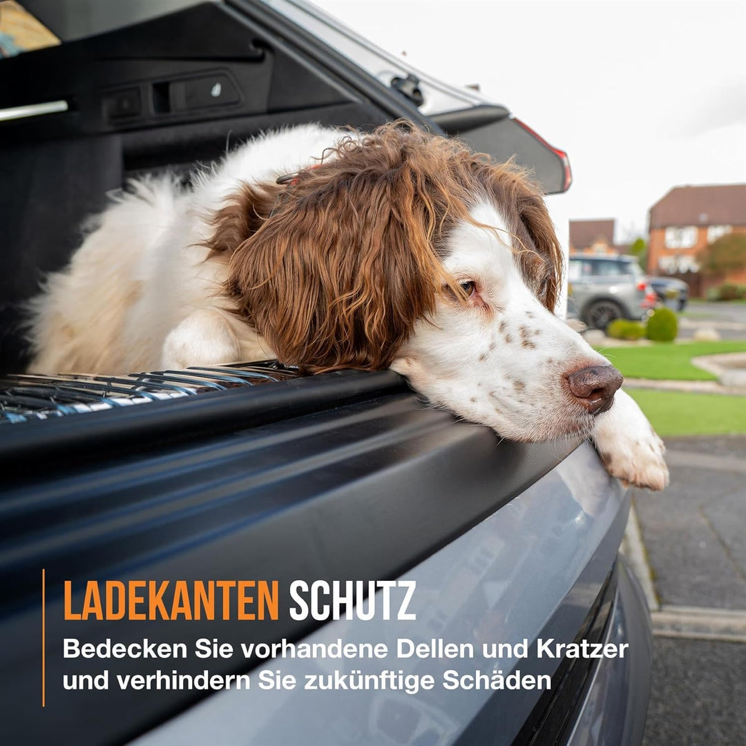 Travall Protector Stossstangenschutz Kompatibel Mit Volkswagen Polo Fliessheck Mk5 2014-2017 TBP1050