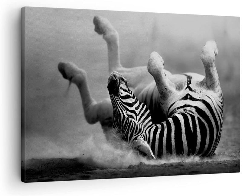 Bilder auf Leinwand Zebra Streifen Tier wild Leinwandbild 70x50cm Wandbilder Dekoration Wohnzimmer S