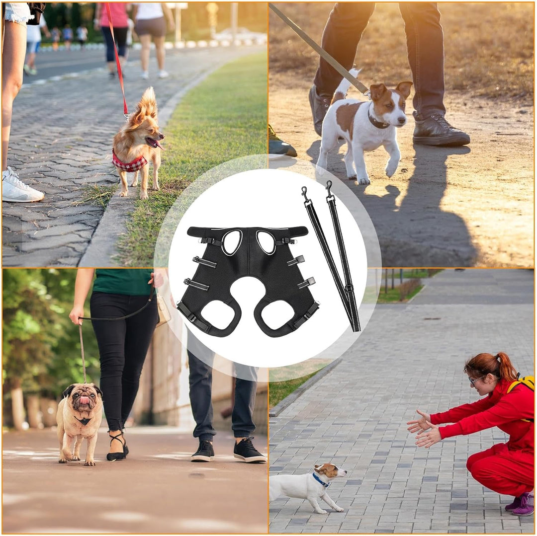 Hilfsgeschirr Für Seniorenhunde - Sanfter Rehabilitationsgurt Mit Stützfunktion - Atmungsaktives Ver