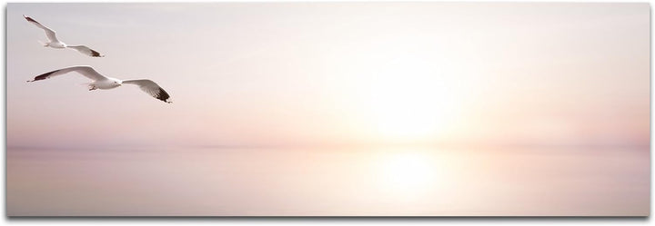 Paul Sinus Art Panoramabild auf Leinwand und Keilrahmen 120x40cm Meer Sonnenlicht Möwen abstrakt