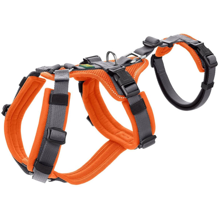 Sicherheitsgeschirr Maldon Farbe orange/grau, Grösse XS XS orange/grau, XS orange/grau
