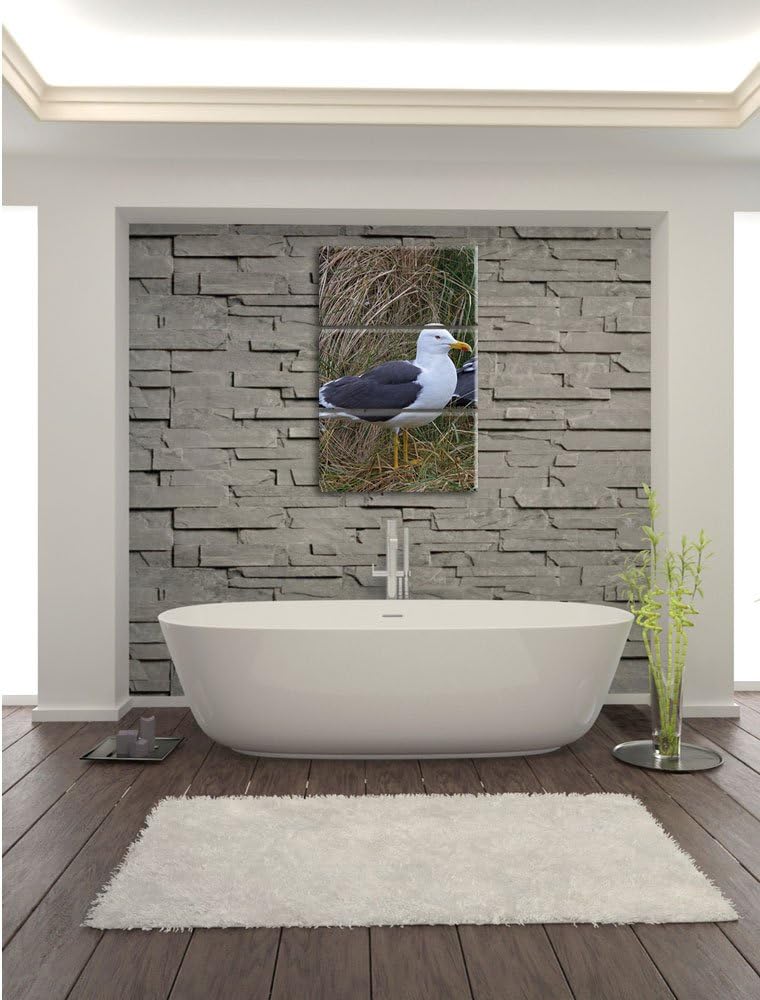 Pixxprint Zwei Möwen im hohen Gras als Leinwandbild/Grösse: 3 Teilig (120x80) cm/Wandbild/Kunstdruck