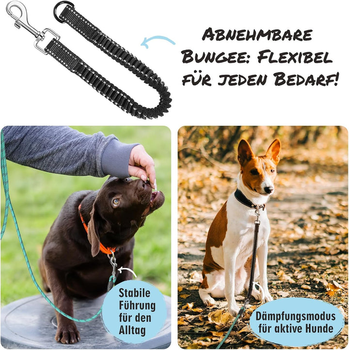Aystkniet Bungee Schleppleine für Hunde 3M 5M 9M 10M 15M 20M 30M, Schockabsorbierende Hundeleine mit