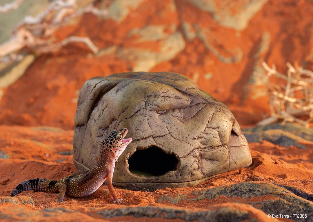 Exo Terra Gecko Höhle für Reptilien und Amphibien, Reptilienversteck klein PT2864, Small, Small