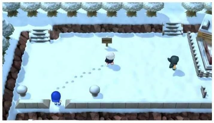 NINTENDO FRANCE SARL Pokemon, Diamant, Verzierung, Swi V