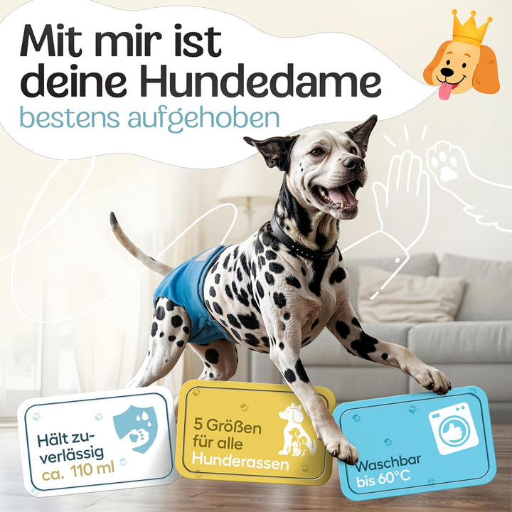 HUND IST KÖNIG Hundewindeln für Hündinnen (3 Stück) - Hochabsorbierende Läufigkeitshose für Hündinne