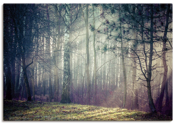 ARTland Leinwandbilder Wandbild Bild auf Leinwand 100x70 cm Querformat Landschaft Wald Natur Bäume S