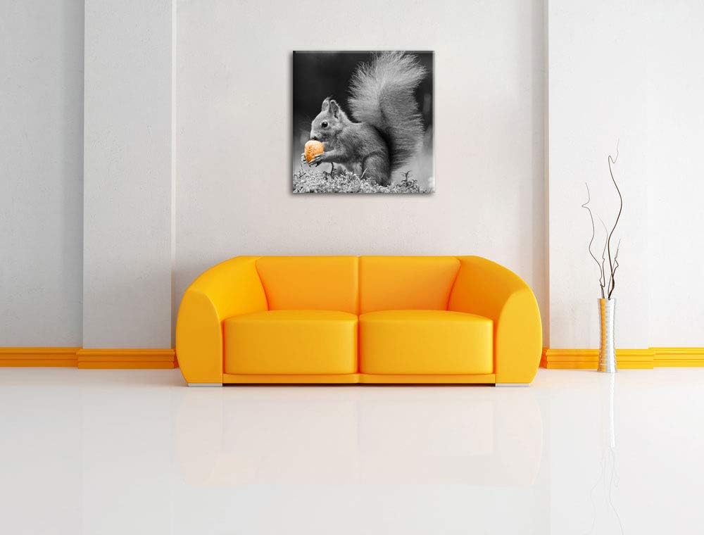 Pixxprint niedliches Eichhörnchen mit Nuss als Leinwandbild/Grösse: 70x70 cm/Wandbild/Kunstdruck/fer