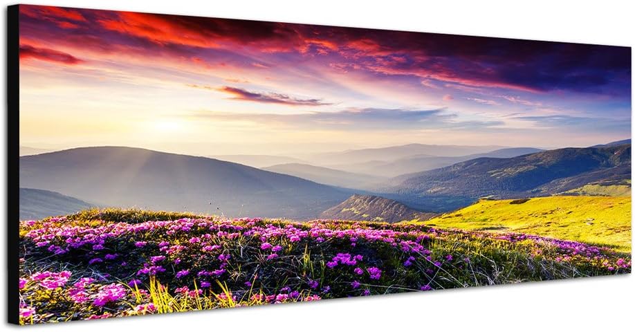 Paul Sinus Art Panoramabild auf Leinwand und Keilrahmen 120x40cm Ukraine Blumenwiese Berge Abendsonn
