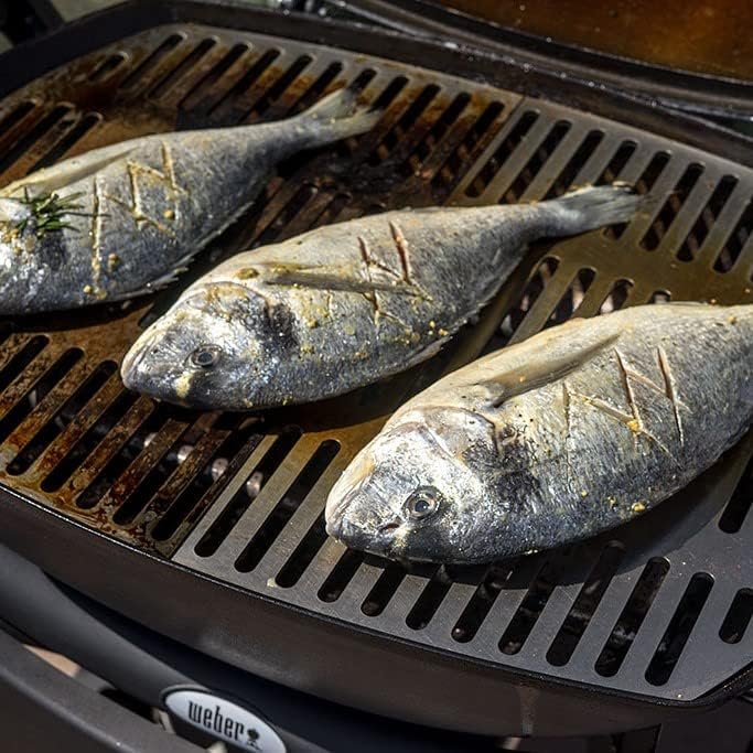 Edelstahl INOX Grillroste für die Weber Q200/2000 Baureihe | spülmaschinenfest - Set aus 2 Hälften G