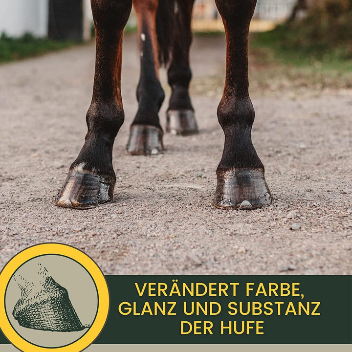 EMMA Huföl mit Hufpinsel + Strahlpflege + Hufbalsam - Huffett Pferde I Hufpflege Hufe & Strahl I Mit