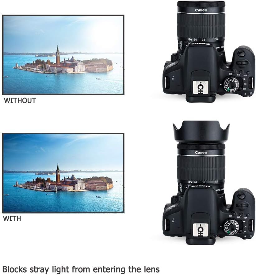 EW63C Bajonett Gegenlichtblende mit UV-Filter Passend für Canon RF-S 14-30mm F4-6.3 on EOS R50 V Cam