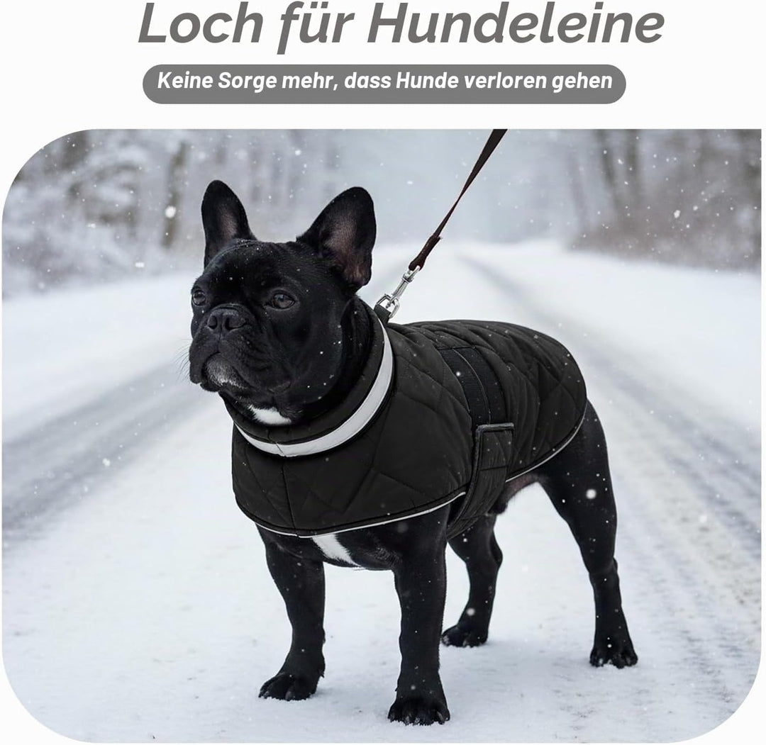 ASENKU Hundemantel Winter L für Grosse Hunde, Wasserdicht & Winddicht, Fleece Reflektierende Warme H