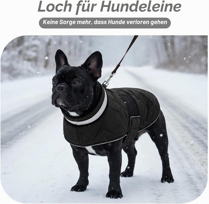 ASENKU Hundemantel Winter L für Grosse Hunde, Wasserdicht & Winddicht, Fleece Reflektierende Warme H