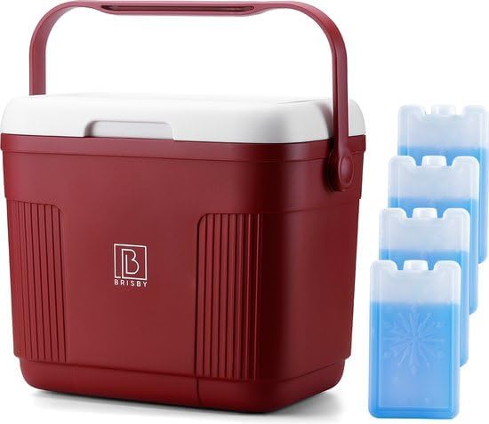 Brisby Kühlbox - 18 Stunden warm - 40 Stunden kühl - Inklusive 4 grosse Kühlelemente 450 ML - 38,3cm