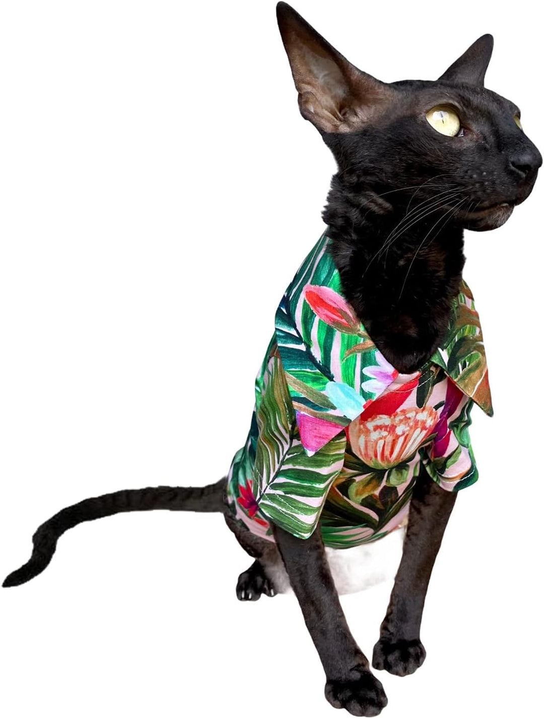 Hawaiian T-Shirt fьr Sphynx und nackte Katzen, Grцяe M Medium Hawaiian Green, Medium Hawaiian Green