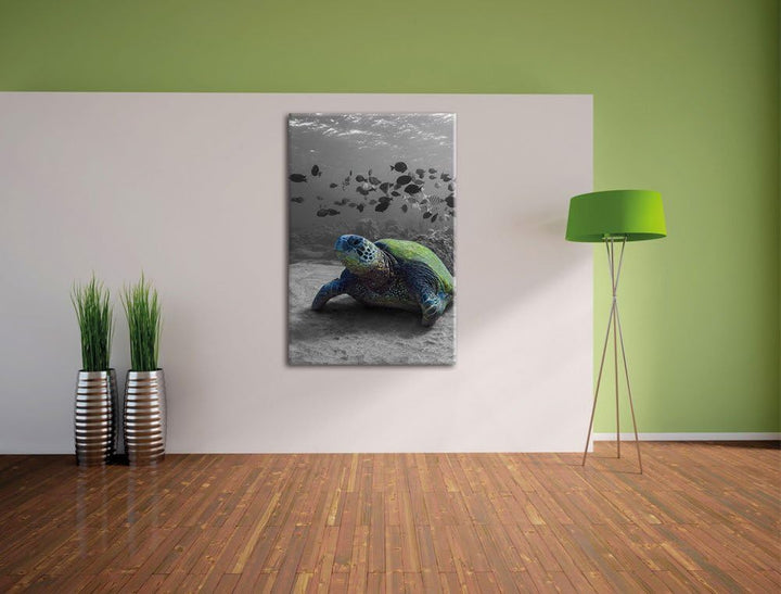 Pixxprint Schildkröte im Ozean schwarz/weiss als Leinwandbild/Grösse: 100x70 / Wandbild/Kunstdruck/f