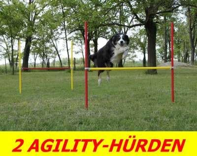 AGILITY-ÜBUNGS-ANFÄNGER-SET MIT SPRUNGRING / SLALOM / HÜRDEN