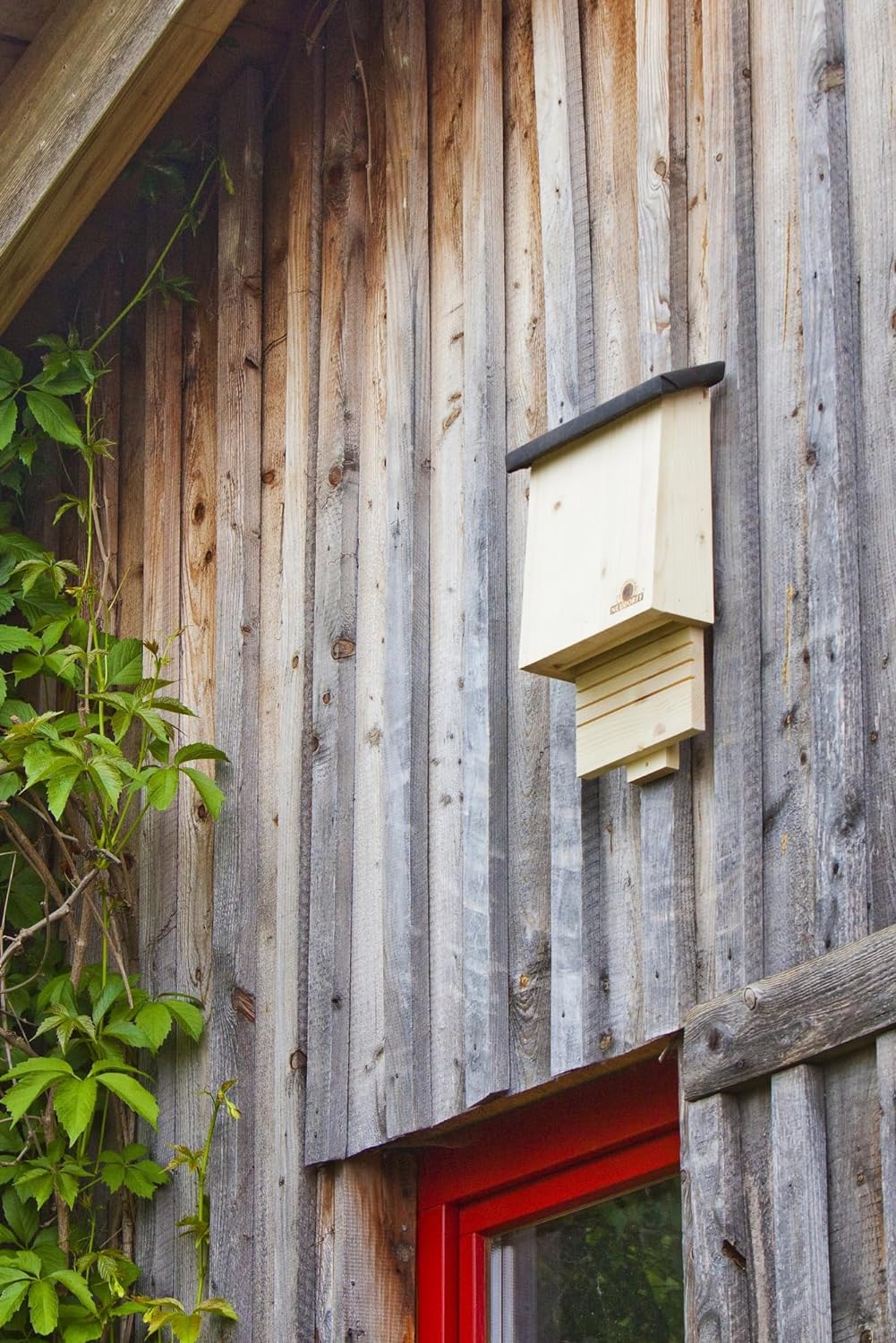 Neudorff 33432 Fledermausquartier