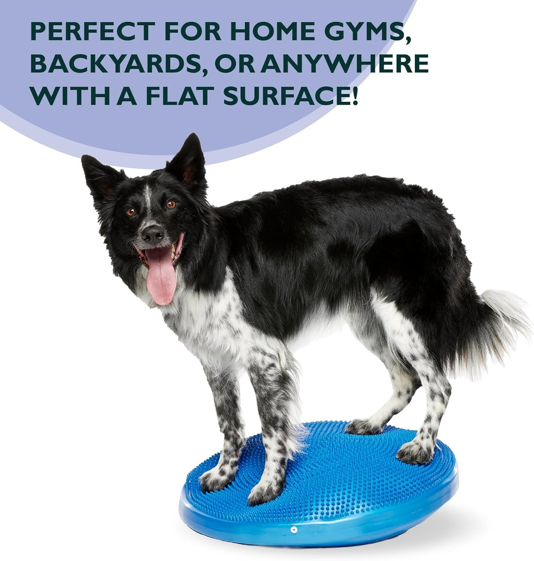 Ball Dynamics FPAWSBD 22 FitPAWS Balance Scheibe, 56 cm, blau