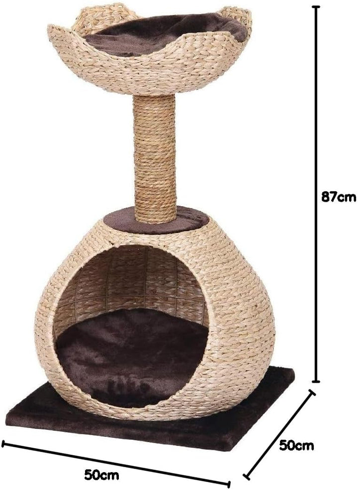 Croci C6020451 Kratzbaum Natural Blossom, 50 x 50 x 87.5 cm beige 50 x 50 x 87.5 cm, beige 50 x 50 x