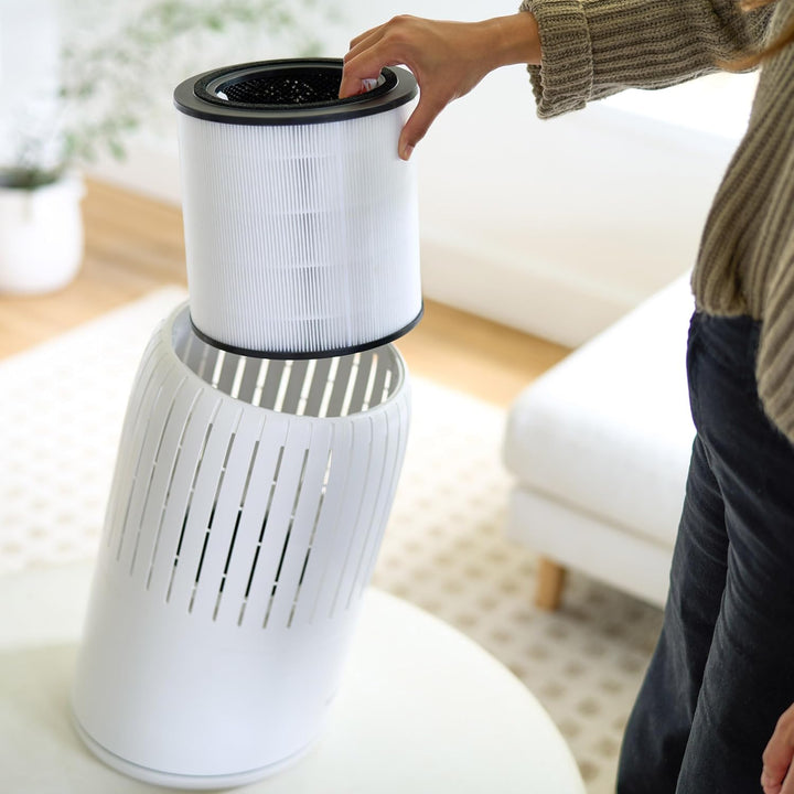 Filter für den Luftreiniger Bosch Air 4000, Air 4000