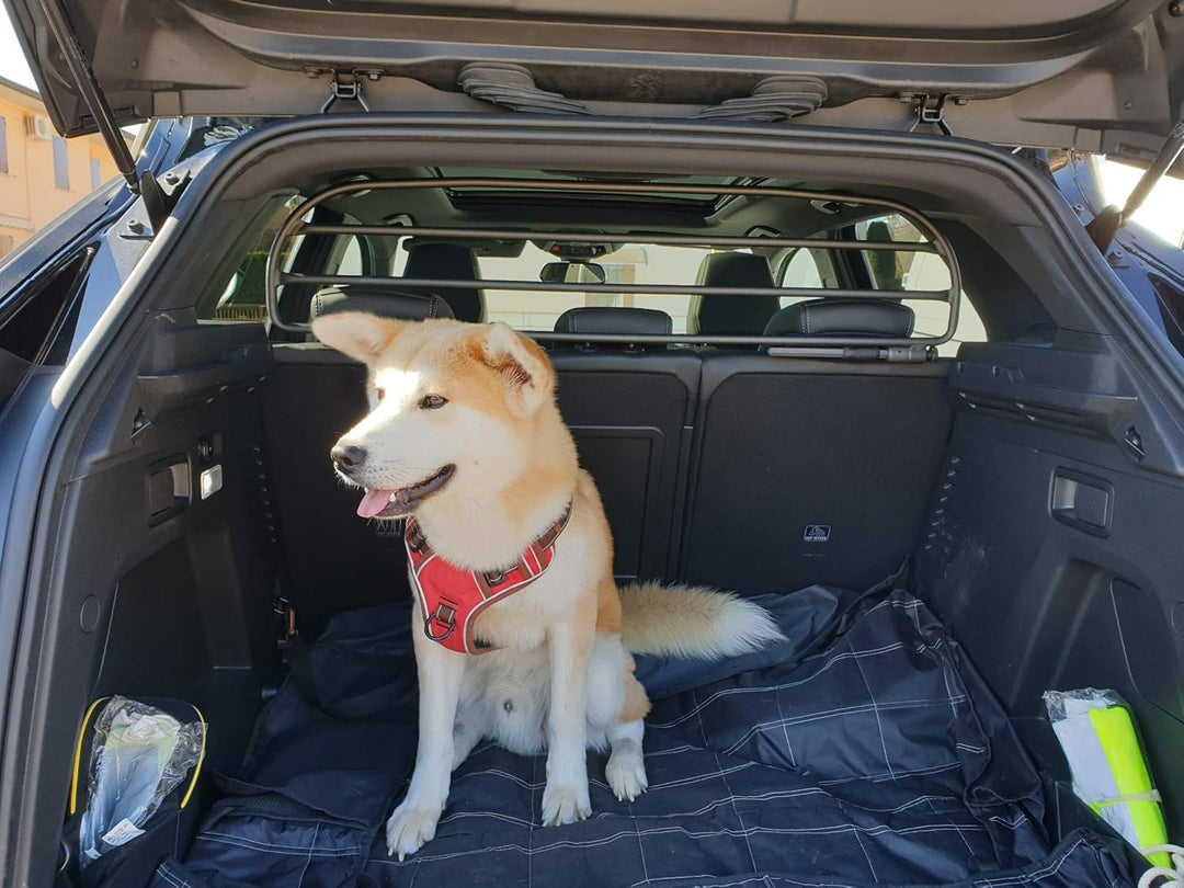 ERGOTECH Trenngitter Hundegitter für Peugeot 3008 (BJ 2016-2024), RDA65HBG-XS, für Hunde und Gepäck