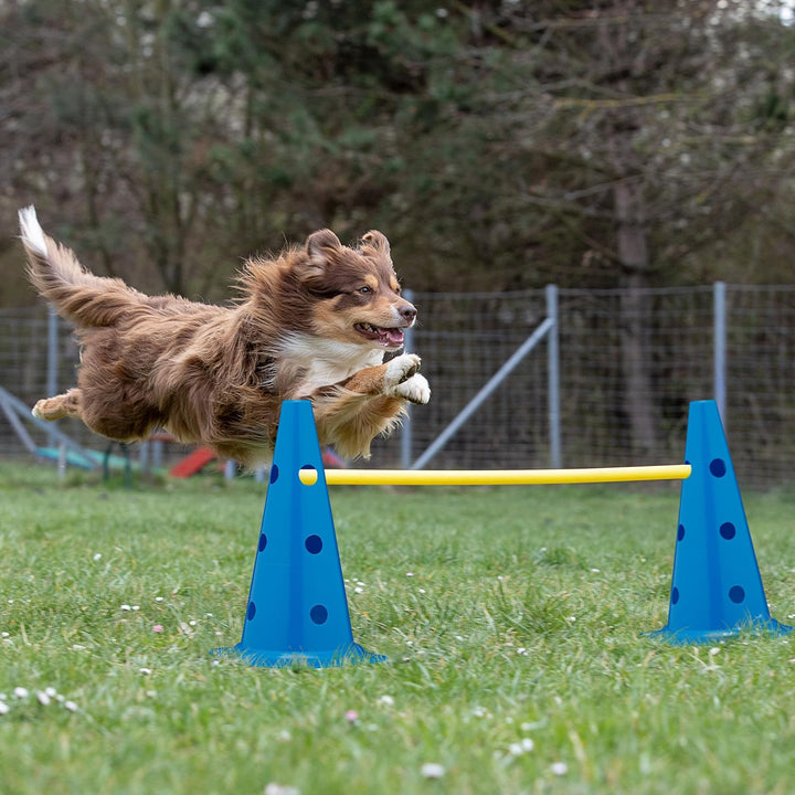 Relaxdays Steckhürdenset, 18 teilig, Hunde Agility & Fussballtraining, 12 Pylonen, 6 Stangen, Hinder