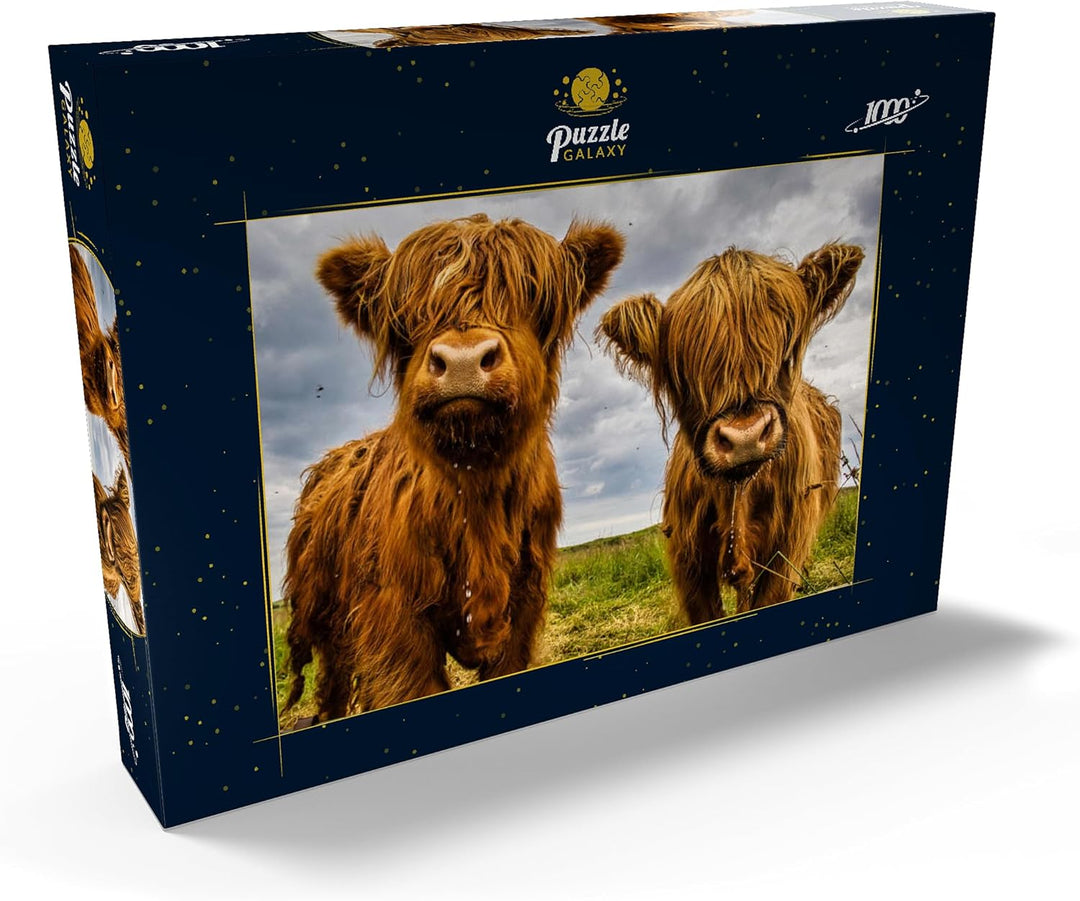 Zwei süsse Hochlandkühe - Premium 1000 Teile Puzzle - MyPuzzle Sonderkollektion von Puzzle Galaxy, 1