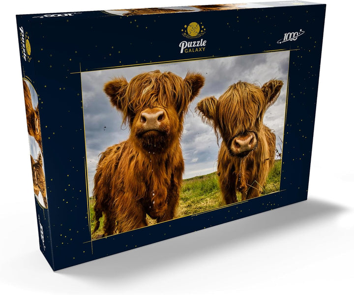 Zwei süsse Hochlandkühe - Premium 1000 Teile Puzzle - MyPuzzle Sonderkollektion von Puzzle Galaxy, 1