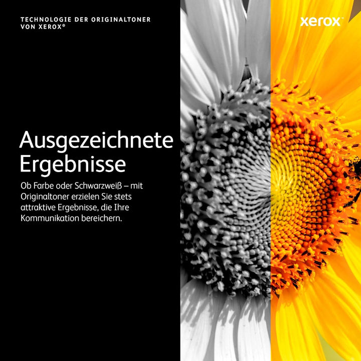 Xerox C310/C315 Tonerkartusche, Schwarz, Standardkapazität (3.000 Seiten) Schwarz Keine