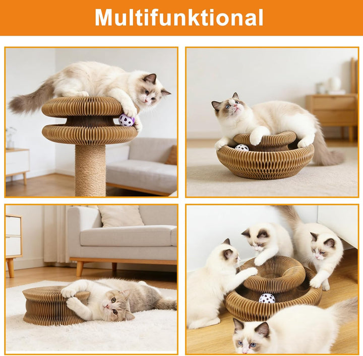 Kratzbrett Katze, 2-in-1 Cat Kratzbrett mit Glöckchen, Magische Orgel Cat Scratching Board, Zusammen